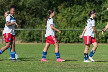 Bild 27 - wBJ VfL Pinneberg - Hamburger SV 2 : Ergebnis: 1:3